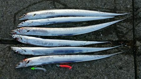 ホームの浜、好調持続。4連続ヒットを含む6…